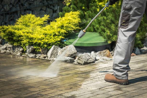 Best Spring Cleaning  in Forestbrook, SC