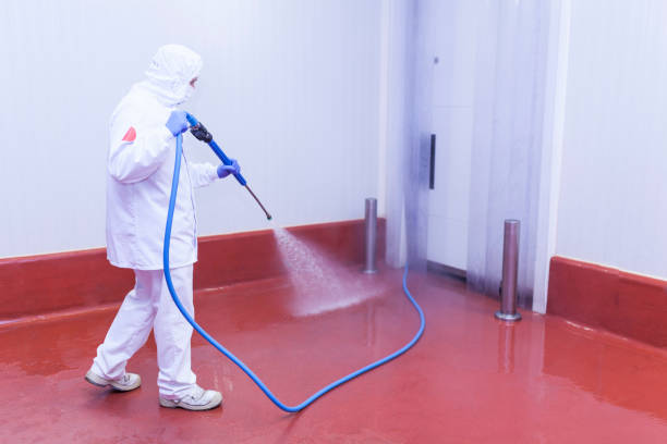 Best Boat and Dock Cleaning  in Forestbrook, SC