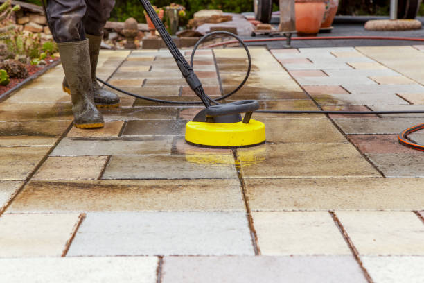 Best Sidewalk and Walkway Cleaning  in Forestbrook, SC